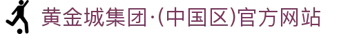 黄金城集团·(中国区)官方网站